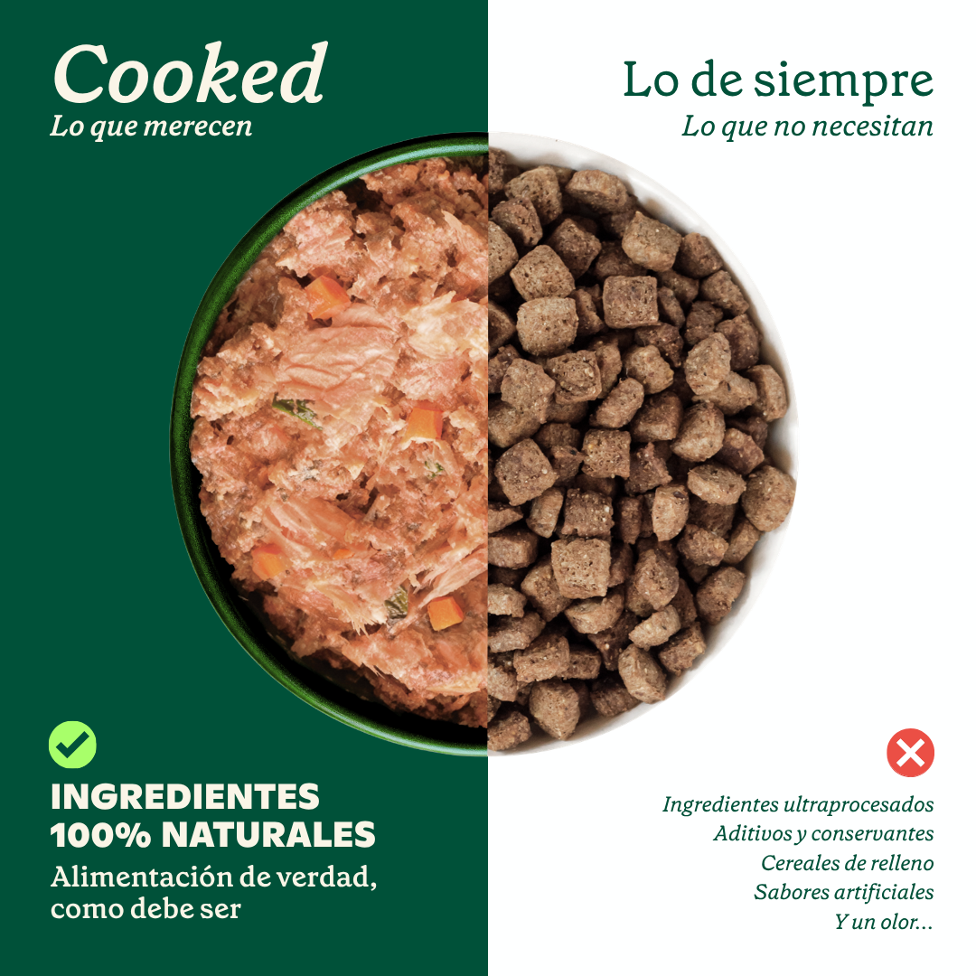 Wildbalance comida cocinada de salmón