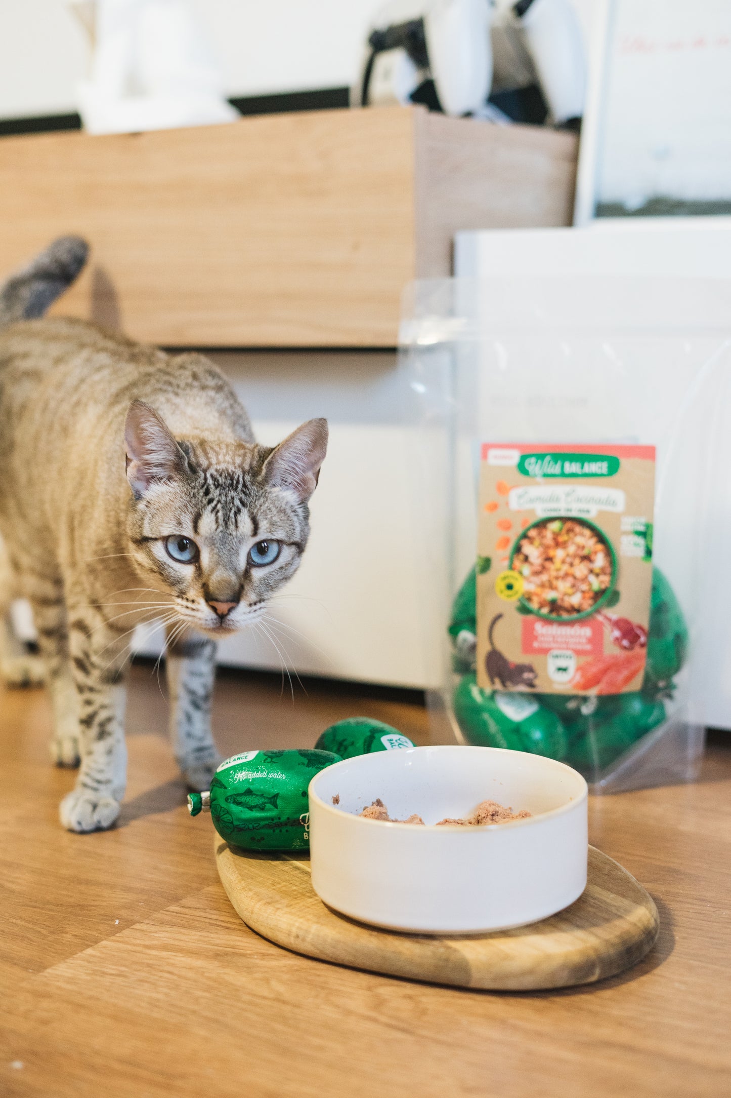 Wildbalance: Comida cocinada de ternera y salmón para gatos