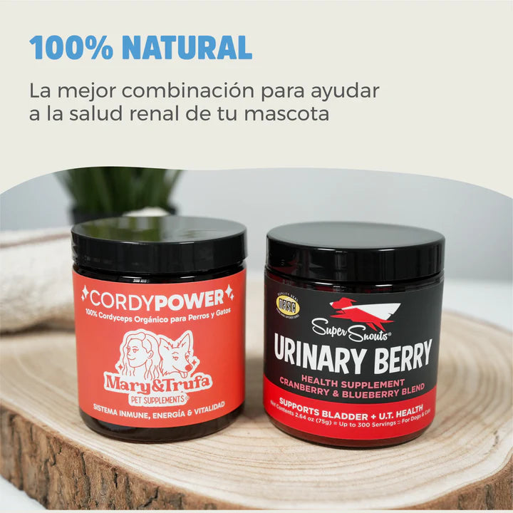 Pack Renal: Urinary Berry & Cordy Power - Patalogías tracto urinario