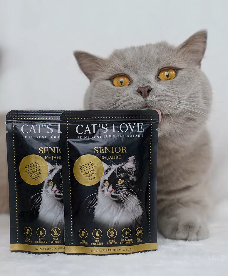 Cat's Love Senior pato