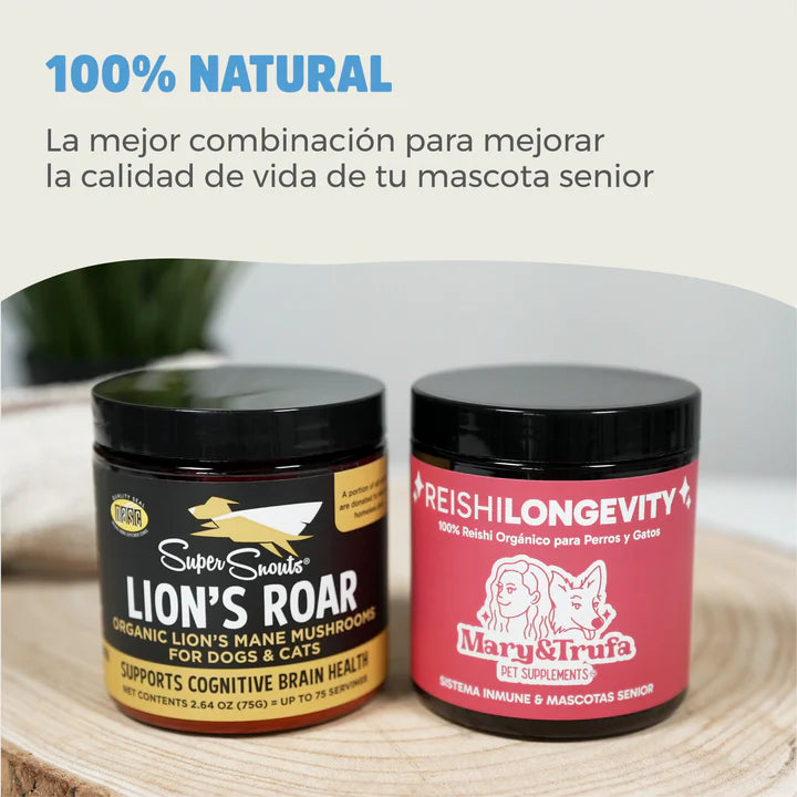 Pack Hongos Senior: Lion's Roar & Reishi Longevity - apoyo cognitivo