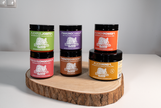 Beneficios de los Hongos Funcionales para Mascotas