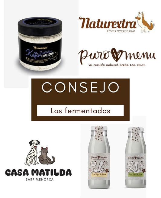 Beneficios de los fermentados para nuestras mascotas