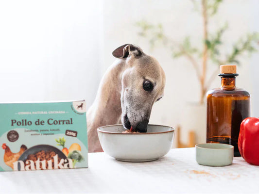 Comida natural cocinada para perros