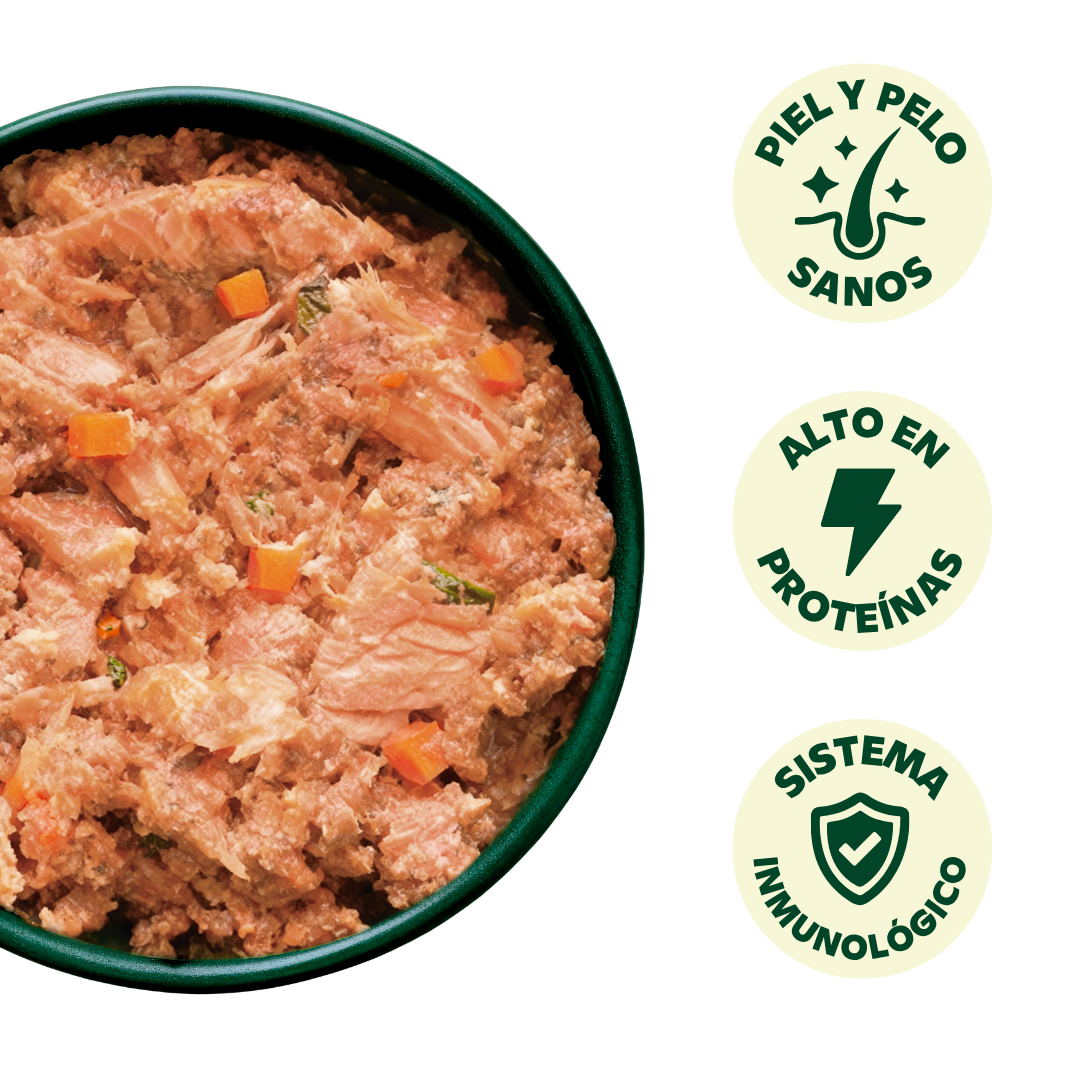 Wildbalance comida cocinada de salmón