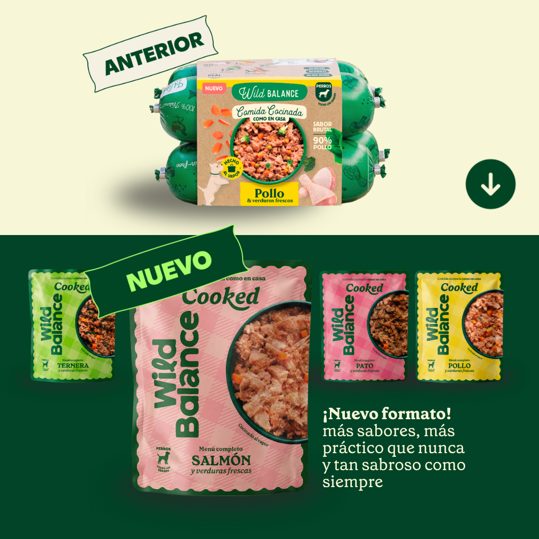 Wildbalance comida cocinada de salmón