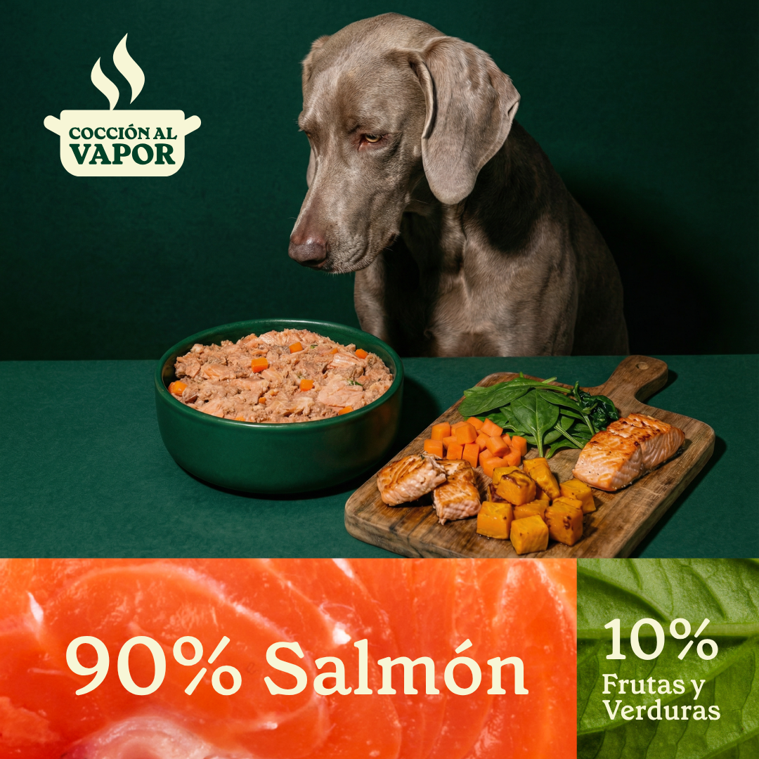 Wildbalance comida cocinada de salmón