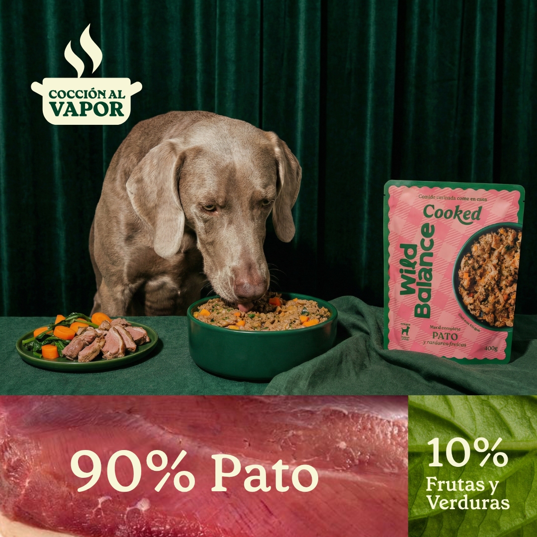 Wildbalance comida cocinada de pato