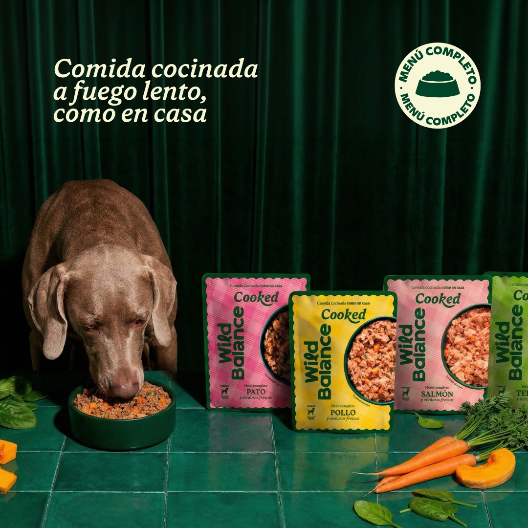 Wildbalance comida cocinada de salmón