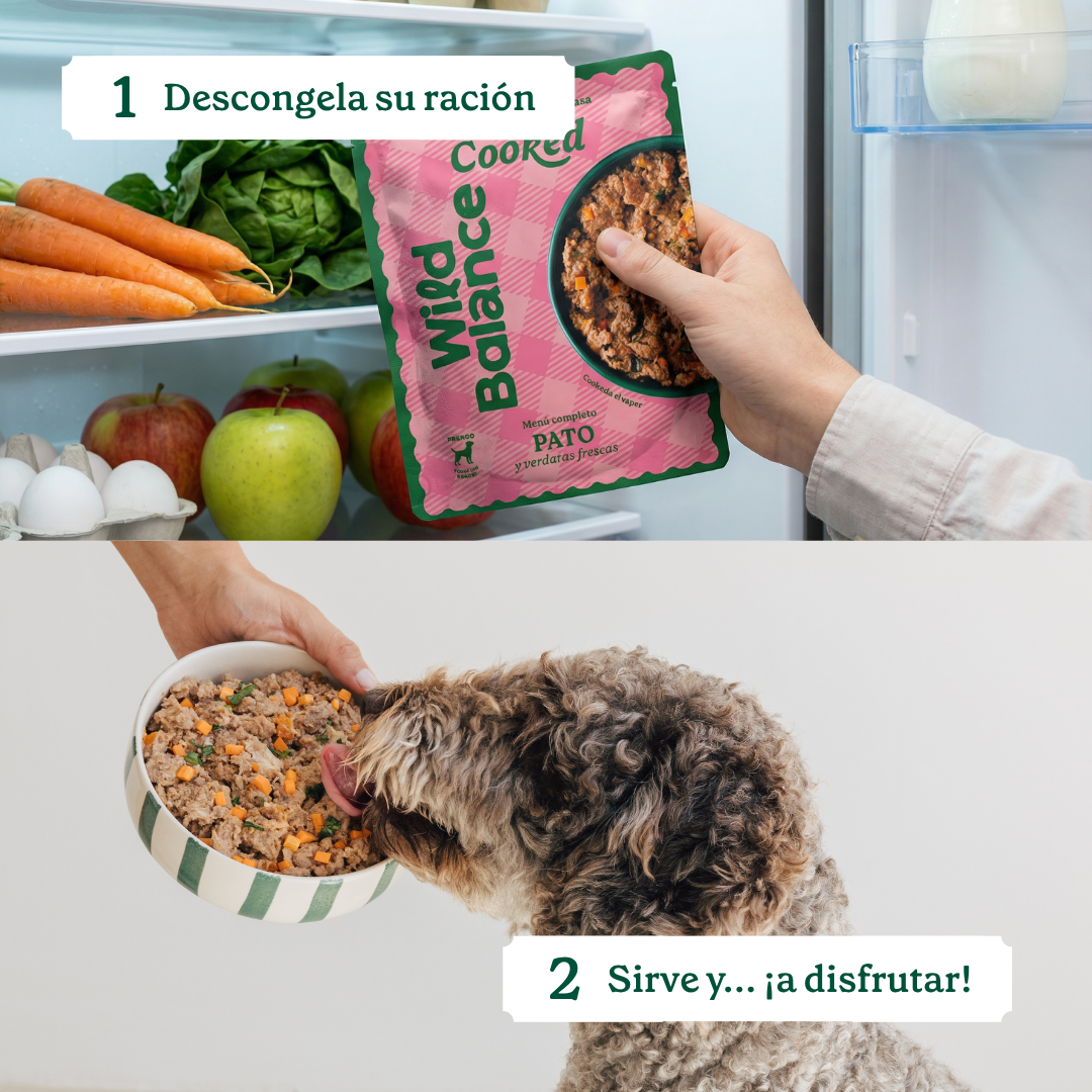 Wildbalance comida cocinada de pato