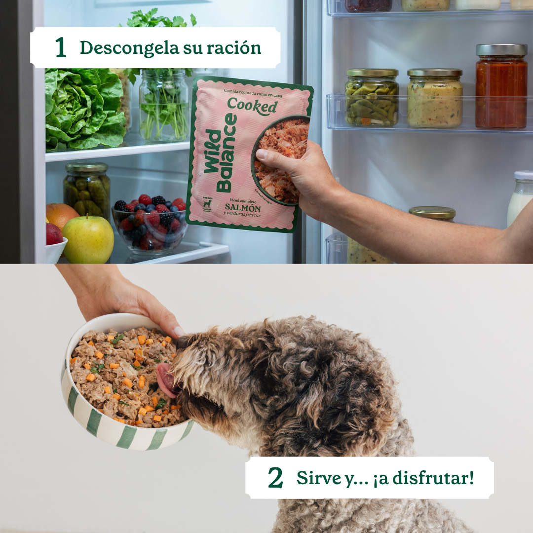 Wildbalance comida cocinada de salmón
