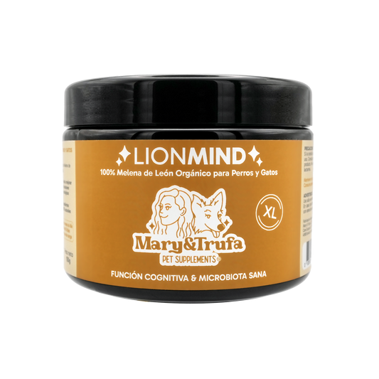 Mary&Trufa LionMind