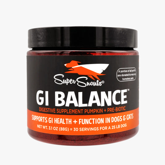 Super Snouts GI Balance