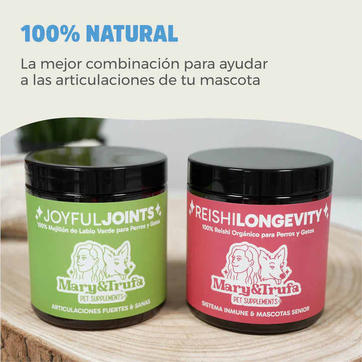 Pack Articular: Joyful Joints & Reishi - Articulaciones, antiinflamatorio y alivio del dolor