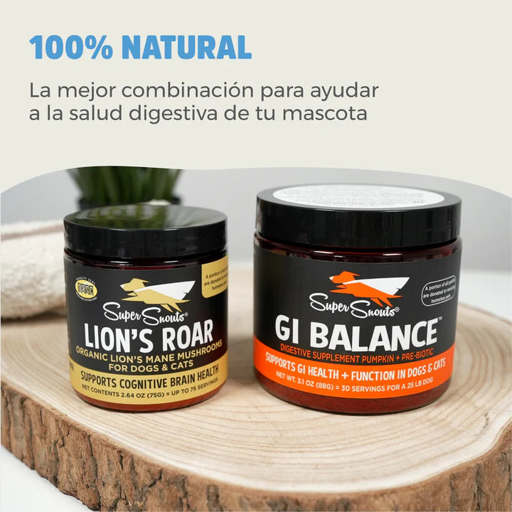 Pack Digestivo: Lion's Roar & GI Balance - Prébiotico y problemas digestivos