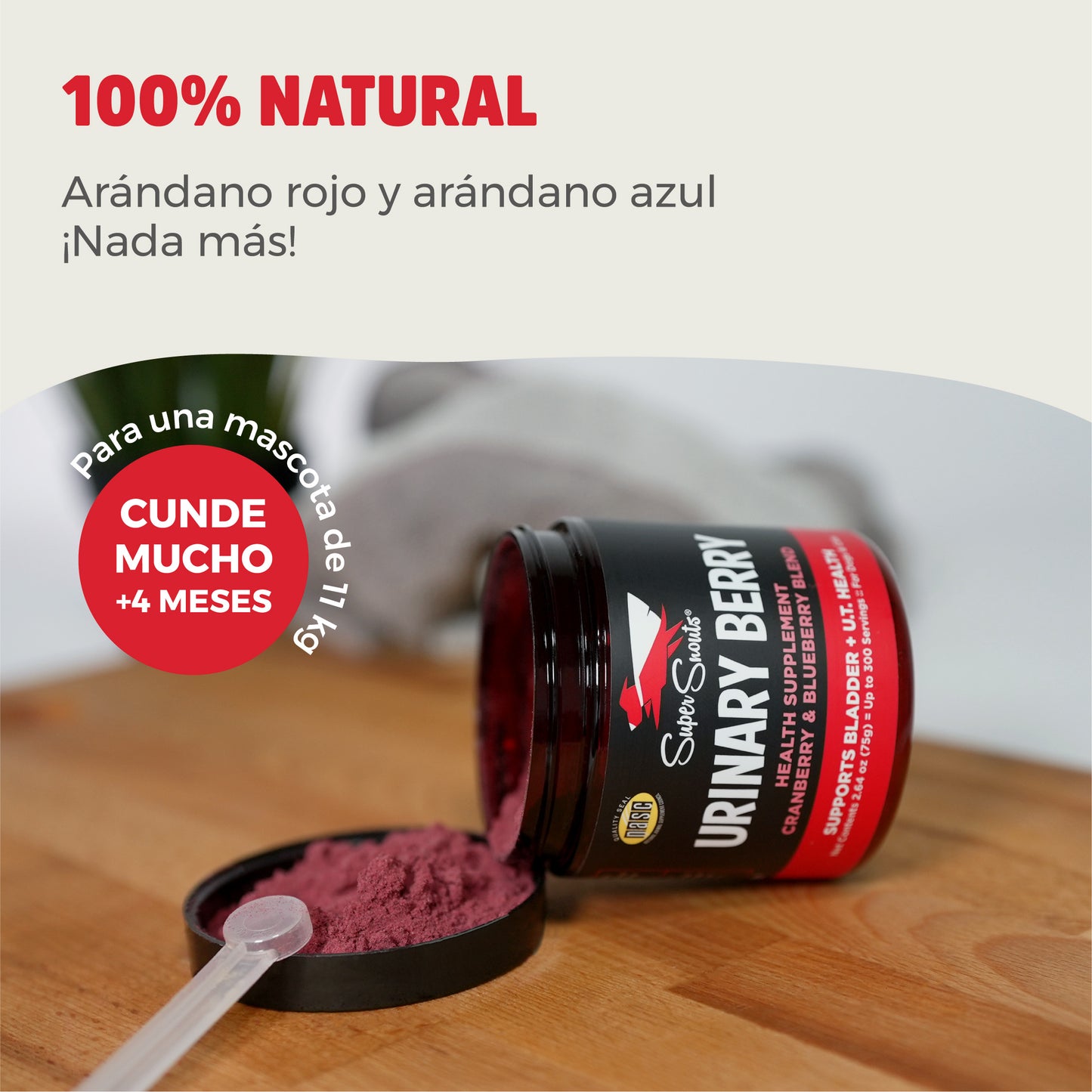 Super Snouts Urinary Berry
