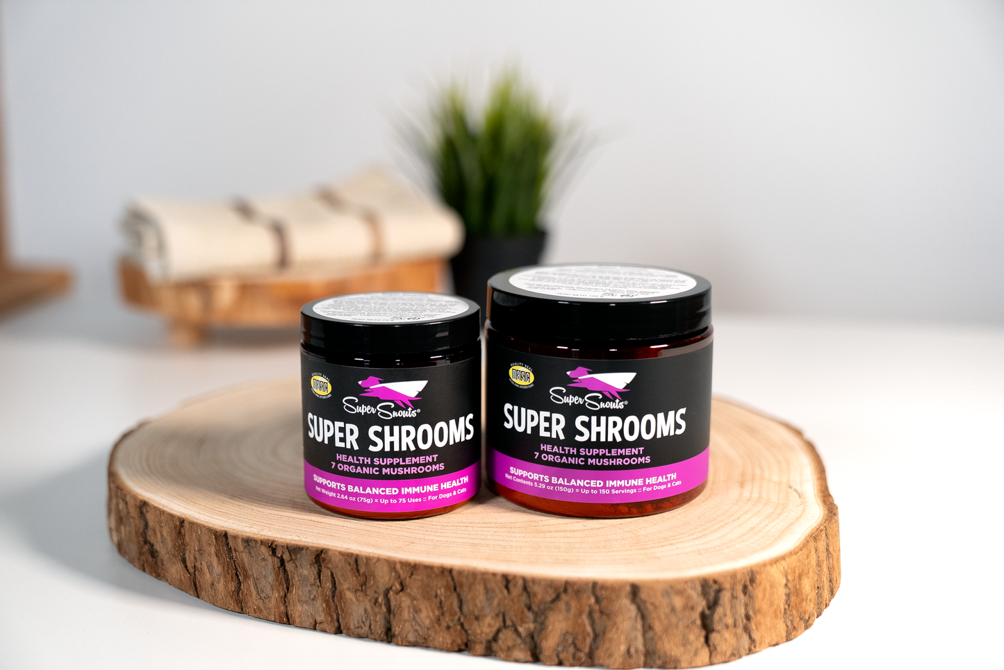 Super Snouts Super Shrooms