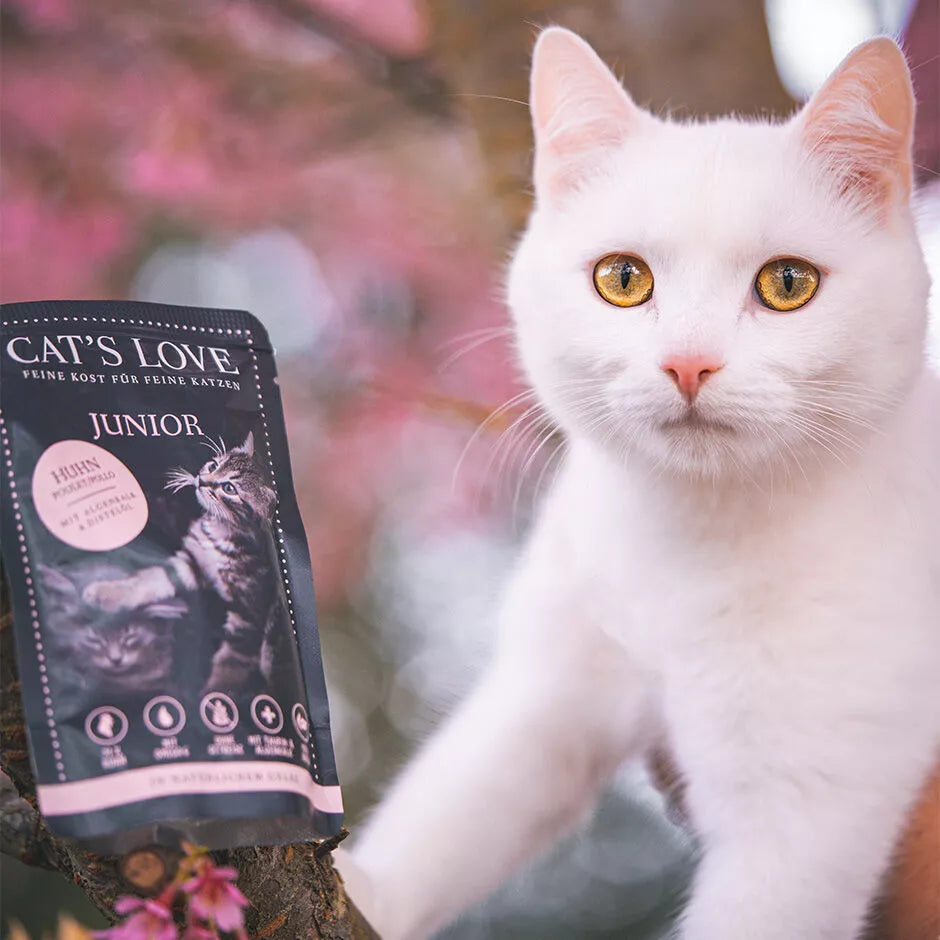 Cat's Love Junior Pollo 85g