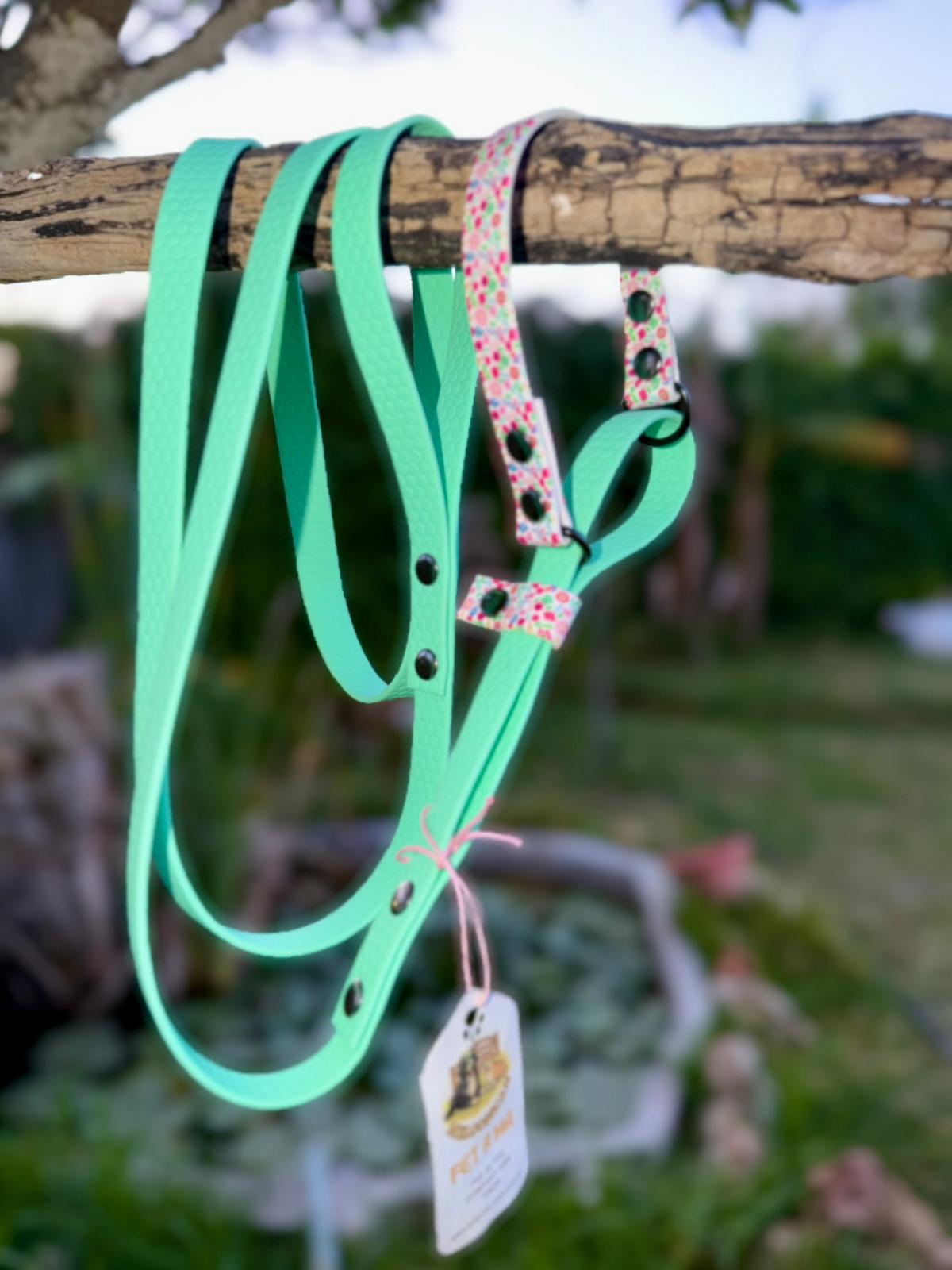 Correa con collar integrado