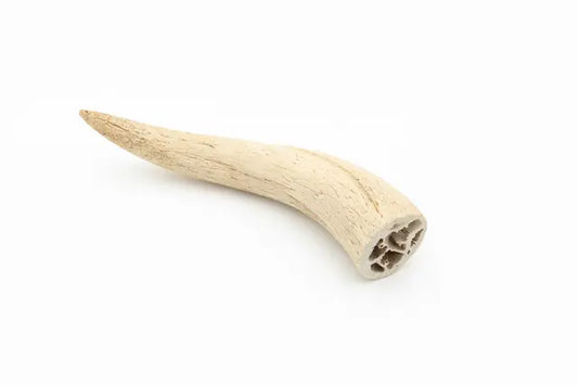 Núcleo de cuerno de vaca