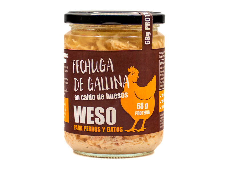 Pechuga de gallina en caldo de huesos