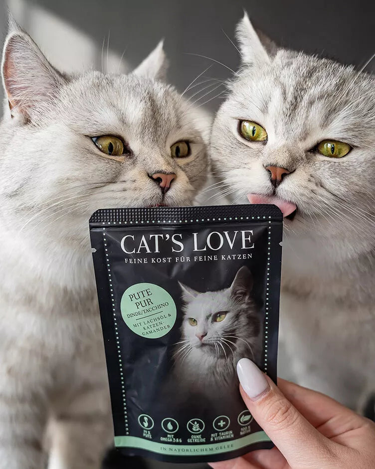 Cat's Love adulto puro pavo
