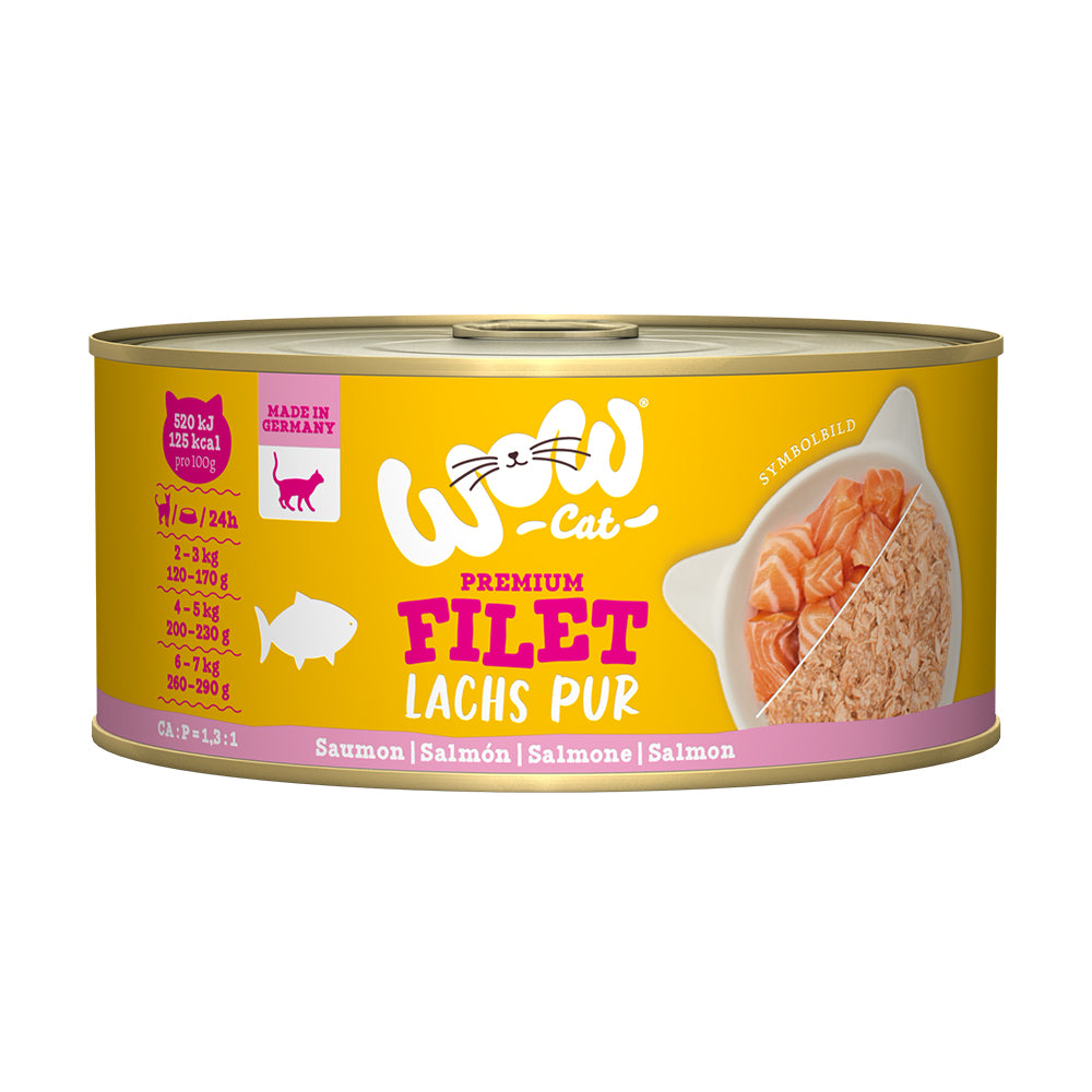 Wow Cat Filete de salmón
