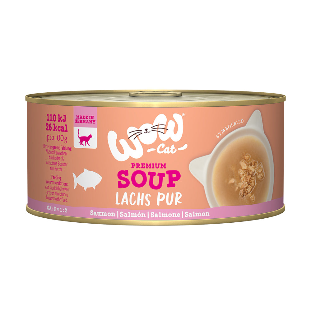 Wow cat sopa de salmón