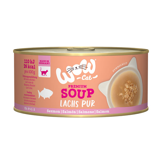 Wow cat sopa de salmón