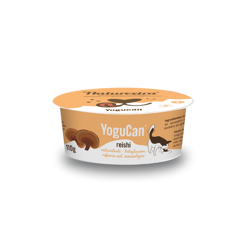 Yogucan con hongo Reishi