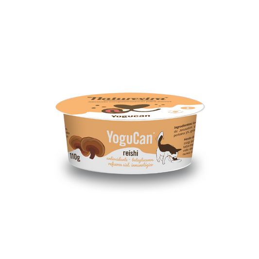 Yogucan con hongo Reishi
