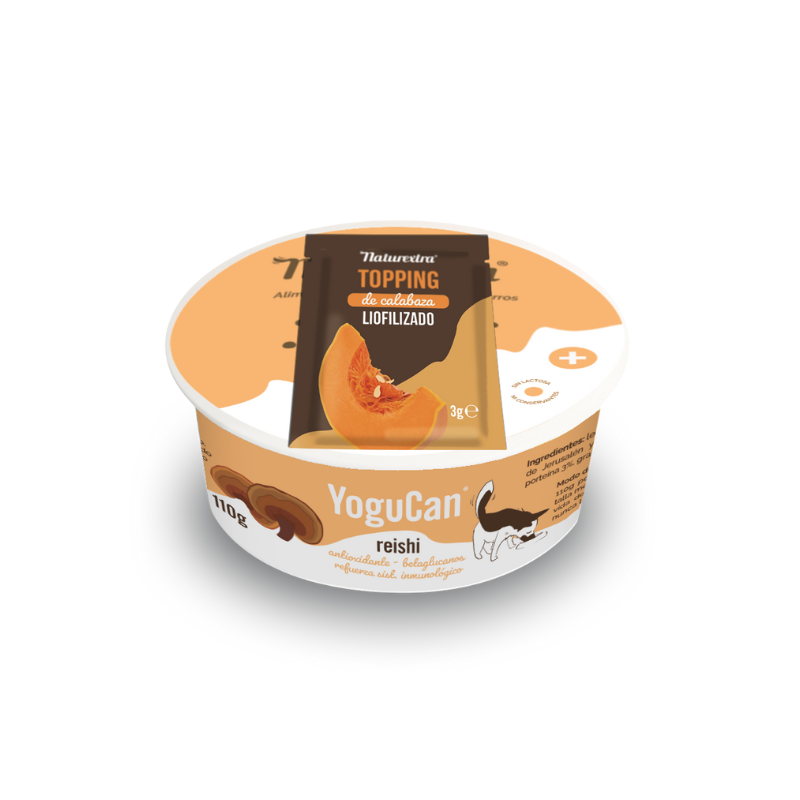Yogucan con hongo Reishi